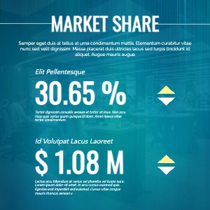 Linkedin Post Infographic Information Statistics Data Figures Corporate Startup