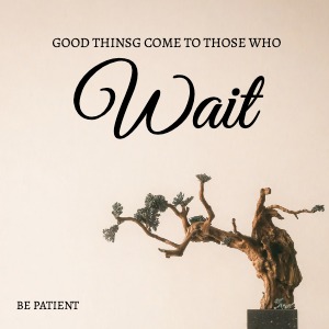 Linkedin Post Motivation Quotation Inspiration Quote Saying Typography