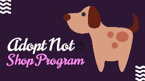 Youtube Channel Dog Adoption