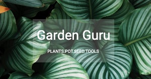Facebook Ad Garden Guru
