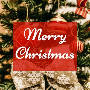 Instagram Post Christmas Greetings