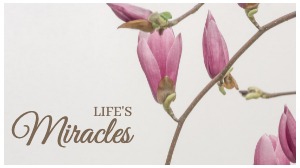 Youtube Channel Beauty Floral Family Flower Spring