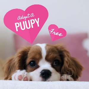 Instagram Post Puppy Dog Pet Adoption Adopt Caring Adorable