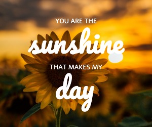 Facebook Post Sunflower Quortes