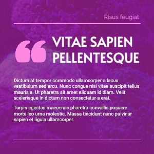 Instagram Post Quote Data Science