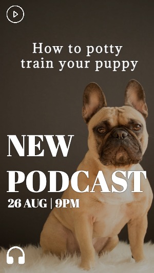 Instagram Podcast Story