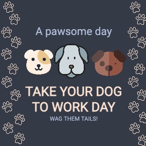 Facebook Dog Post