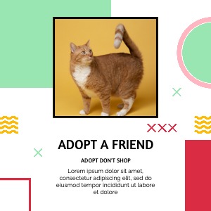 Instagram Post Adopt Pets