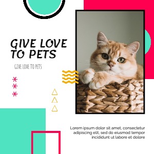 Instagram Post Love Cat