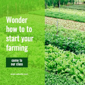 Facebook Post Green Plants
