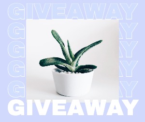 Facebook Post Plants Giveaway